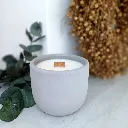 lesni romance seda.webp